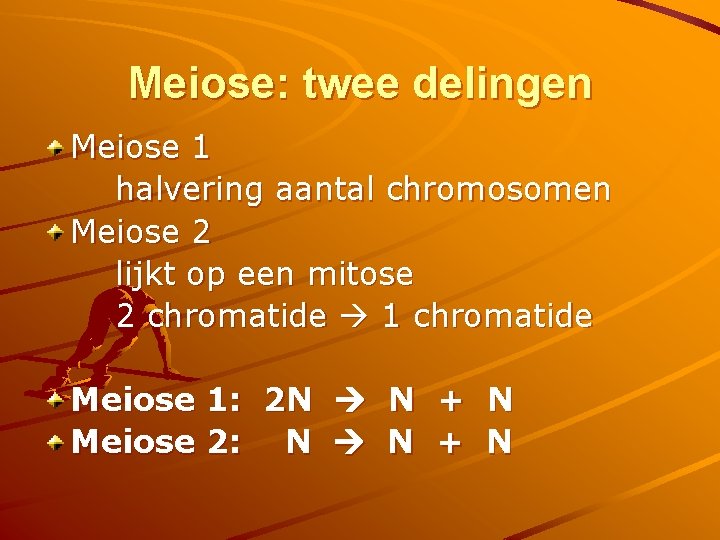 Meiose: twee delingen Meiose 1 halvering aantal chromosomen Meiose 2 lijkt op een mitose