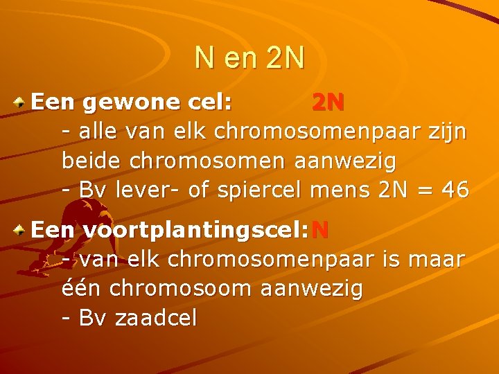 N en 2 N Een gewone cel: 2 N - alle van elk chromosomenpaar