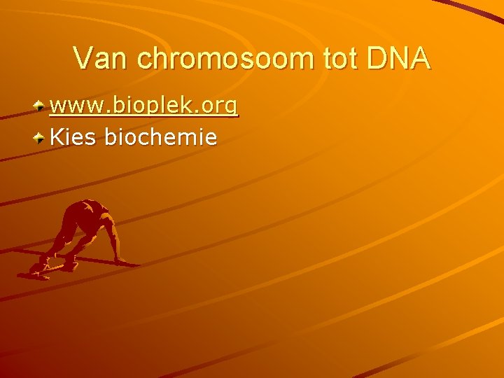 Van chromosoom tot DNA www. bioplek. org Kies biochemie 