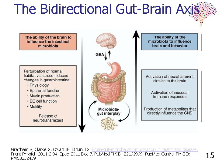 The Bidirectional Gut-Brain Axis Grenham S, Clarke G, Cryan JF, Dinan TG. Brain-gut-microbe communication