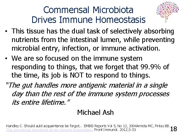 Commensal Microbiota Drives Immune Homeostasis • This tissue has the dual task of selectively