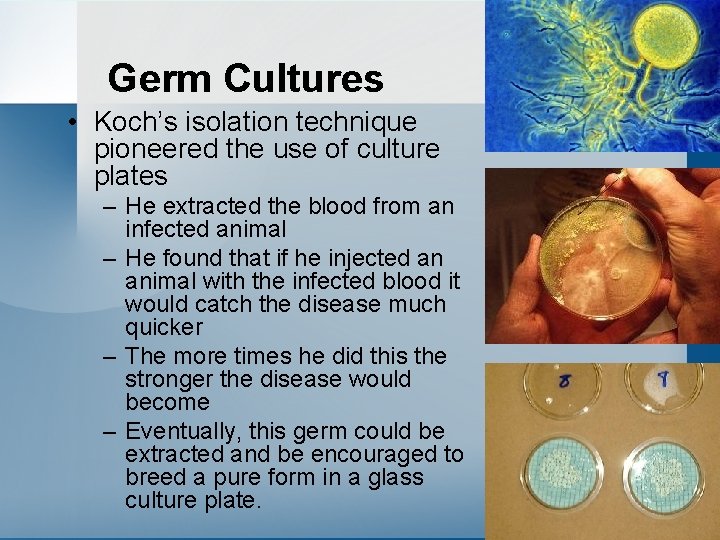 Germ Cultures • Koch’s isolation technique pioneered the use of culture plates – He