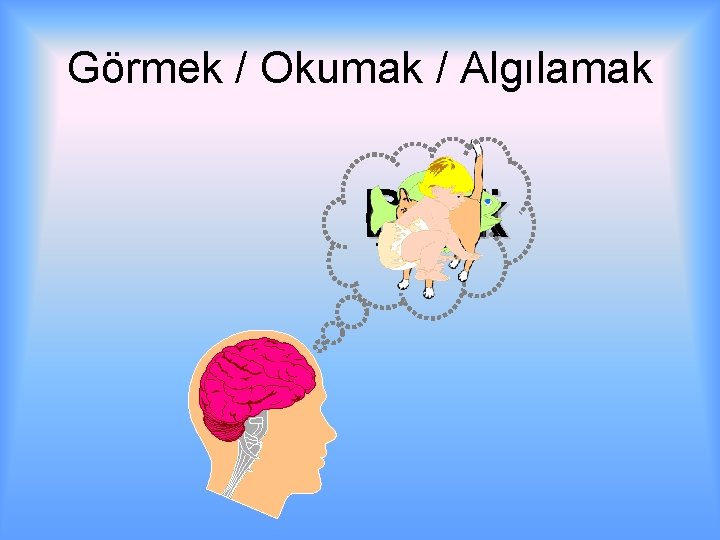 Görmek / Okumak / Algılamak Çocuk Balık Kedi 