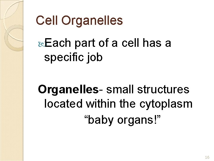 Cell Organelles Each part of a cell has a specific job Organelles- small structures