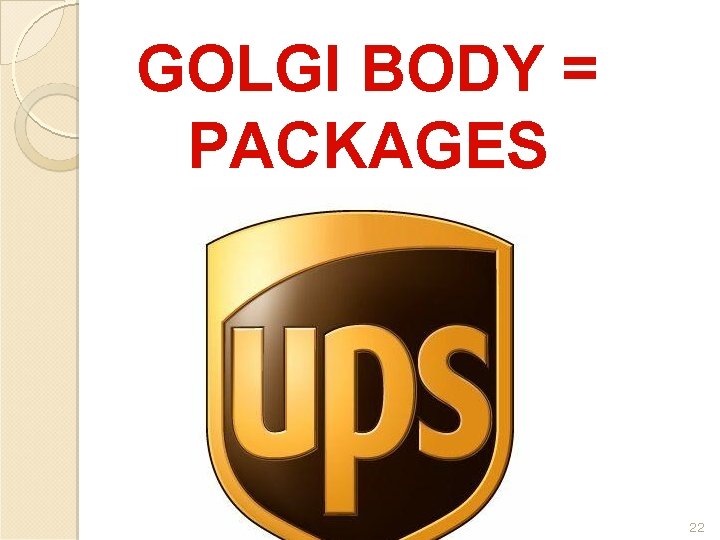 GOLGI BODY = PACKAGES 22 