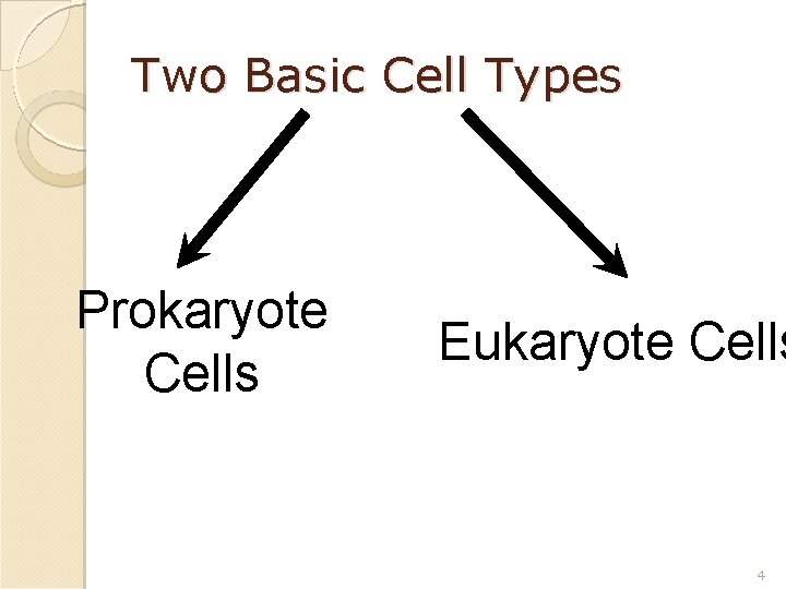 Two Basic Cell Types Prokaryote Cells Eukaryote Cells 4 