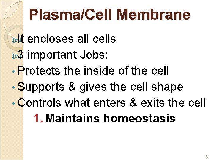 Plasma/Cell Membrane It encloses all cells 3 important Jobs: • Protects the inside of