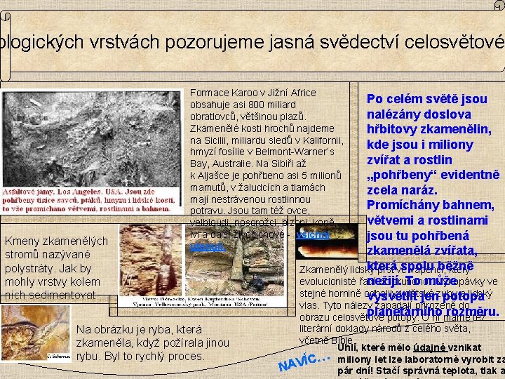 ologických vrstvách pozorujeme jasná svědectví celosvětové Kmeny zkamenělých stromů nazývané polystráty. Jak by mohly