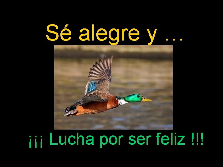 Sé alegre y … ¡¡¡ Lucha por ser feliz !!! 