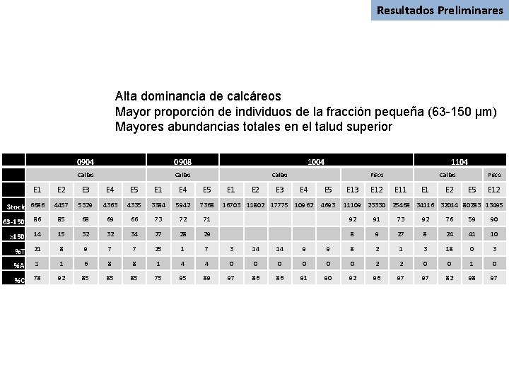 Resultados Preliminares Alta dominancia de calcáreos Mayor proporción de individuos de la fracción pequeña