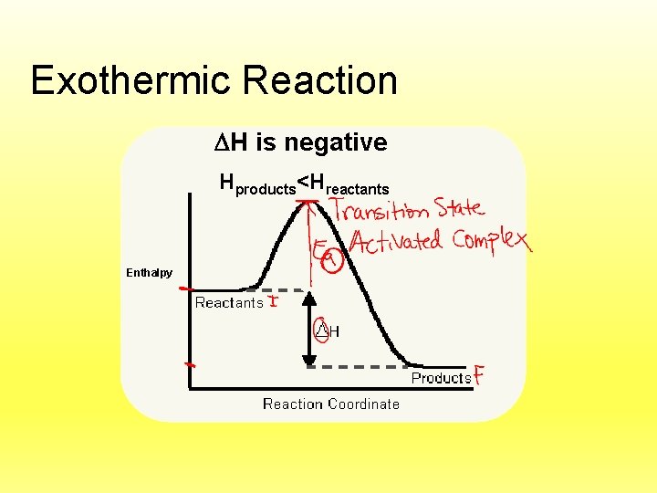 Exothermic Reaction H is negative Hproducts<Hreactants Potential Enthalpy 