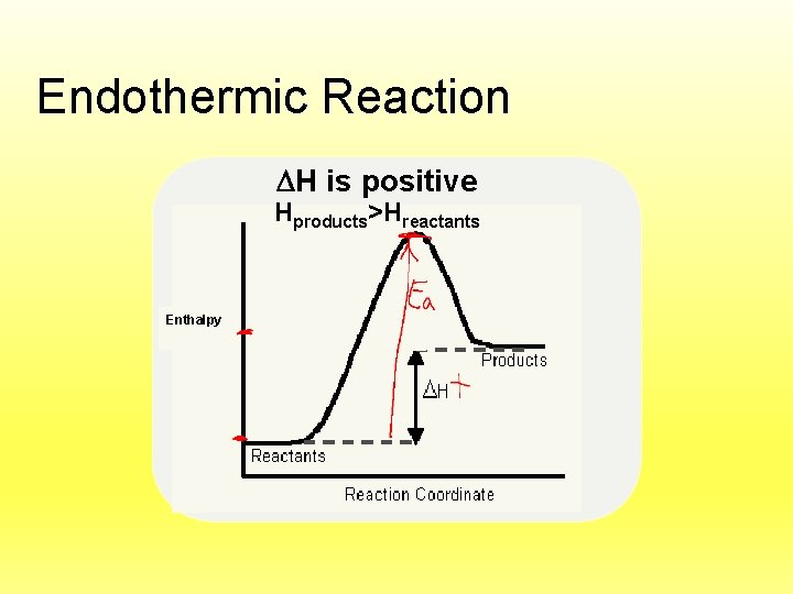 Endothermic Reaction H is positive Hproducts>Hreactants Potential Enthalpy 