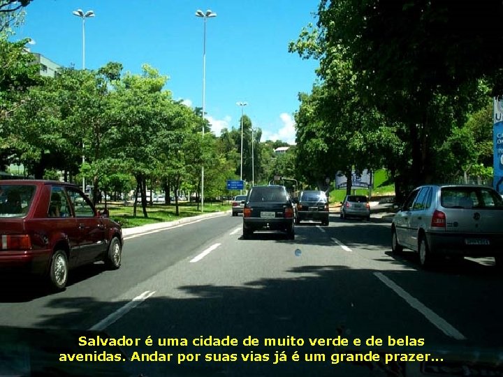 Salvador é uma cidade de muito verde e de belas avenidas. Andar por suas