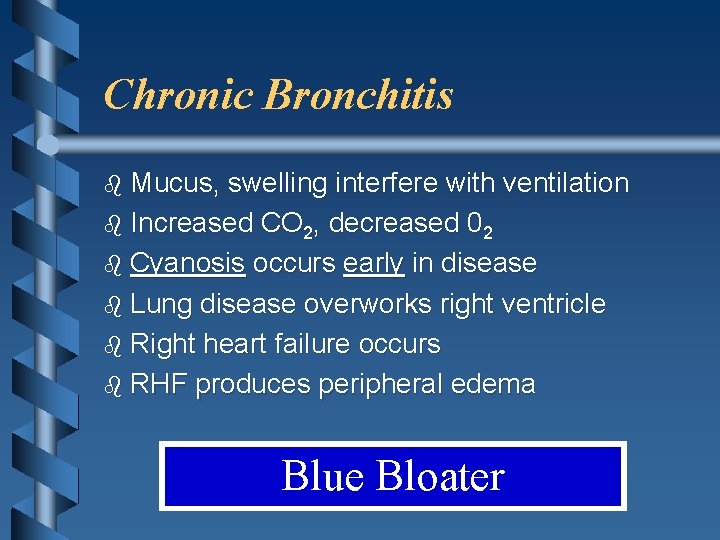 Chronic Bronchitis b Mucus, swelling interfere with ventilation b Increased CO 2, decreased 02