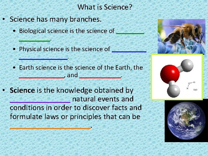 What is Science? • Science has many branches. • Biological science is the science