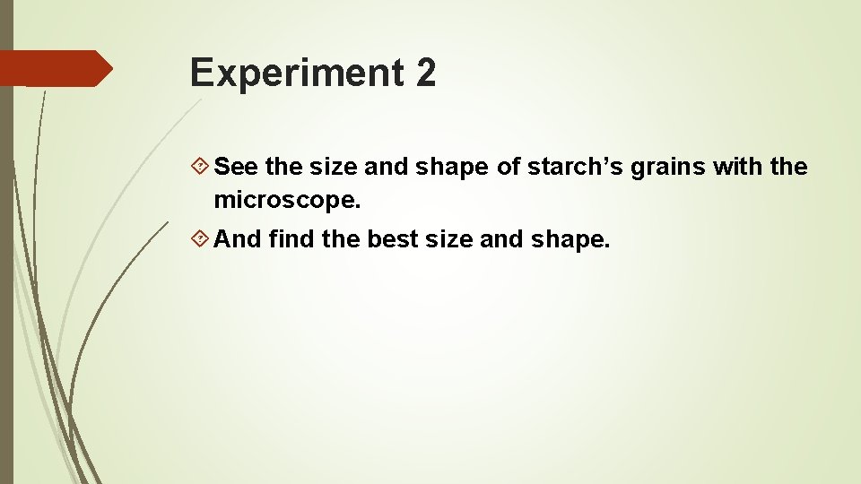 Experiment 2 See the size and shape of starch’s grains with the microscope. And