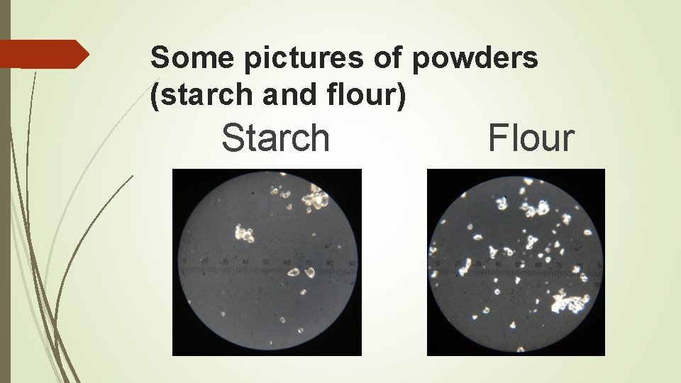 Some pictures of powders (starch and flour) Starch Flour 