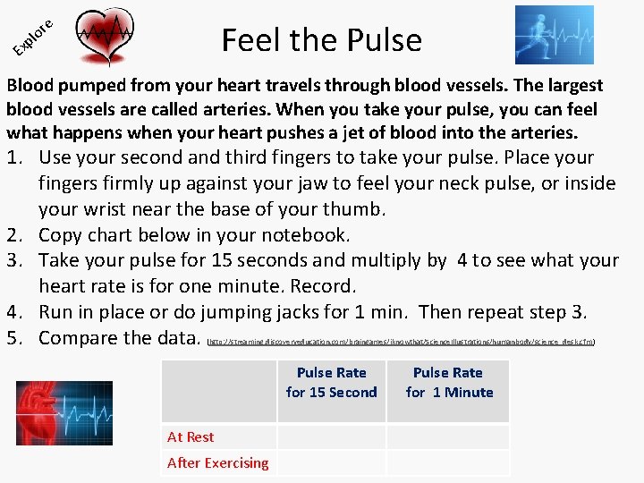 E e or l xp Feel the Pulse Blood pumped from your heart travels
