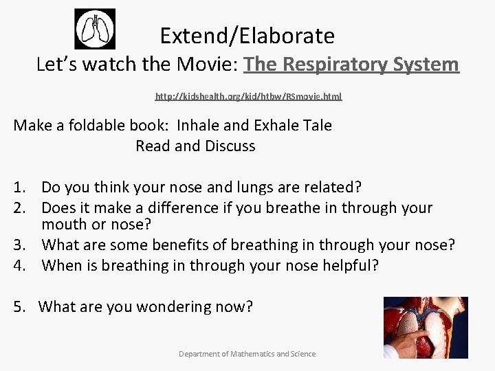 Extend/Elaborate Let’s watch the Movie: The Respiratory System http: //kidshealth. org/kid/htbw/RSmovie. html Make a