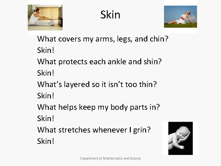 Skin What covers my arms, legs, and chin? Skin! What protects each ankle and