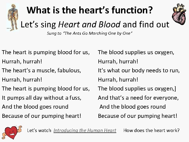 What is the heart’s function? Let’s sing Heart and Blood and find out Sung