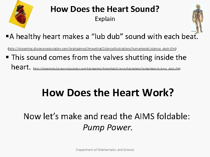 How Does the Heart Sound? Explain §A healthy heart makes a “lub dub” sound