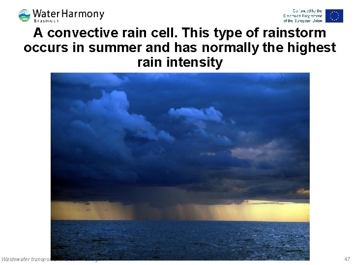 A convective rain cell. This type of rainstorm occurs in summer and has normally