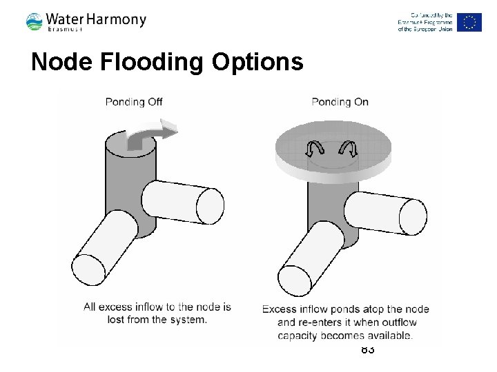 Node Flooding Options 83 