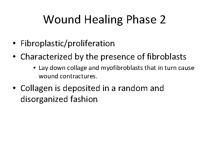 Wound Healing Phase 2 • Fibroplastic/proliferation • Characterized by the presence of fibroblasts •