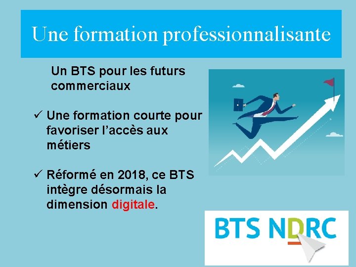 Une formation professionnalisante Un BTS pour les futurs commerciaux ü Une formation courte pour