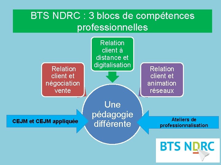 BTS NDRC : 3 blocs de compétences professionnelles Relation client et négociation vente CEJM