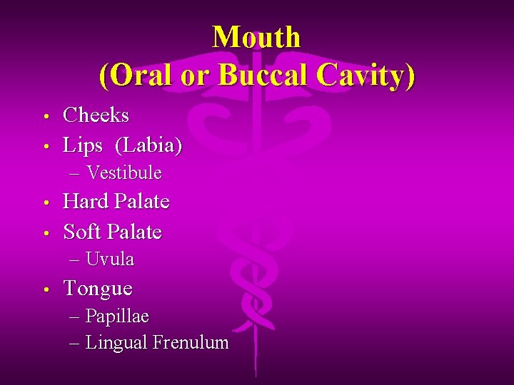 Mouth (Oral or Buccal Cavity) • • Cheeks Lips (Labia) – Vestibule • •