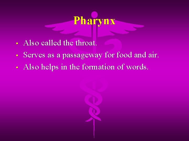 Pharynx • • • Also called the throat. Serves as a passageway for food