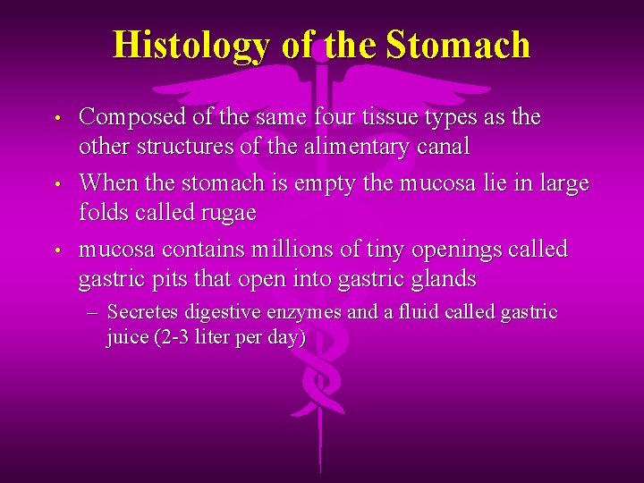 Histology of the Stomach • • • Composed of the same four tissue types