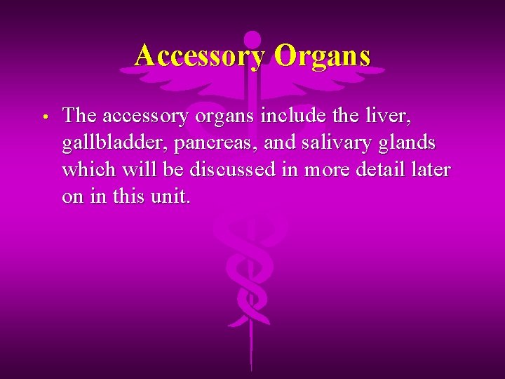 Accessory Organs • The accessory organs include the liver, gallbladder, pancreas, and salivary glands