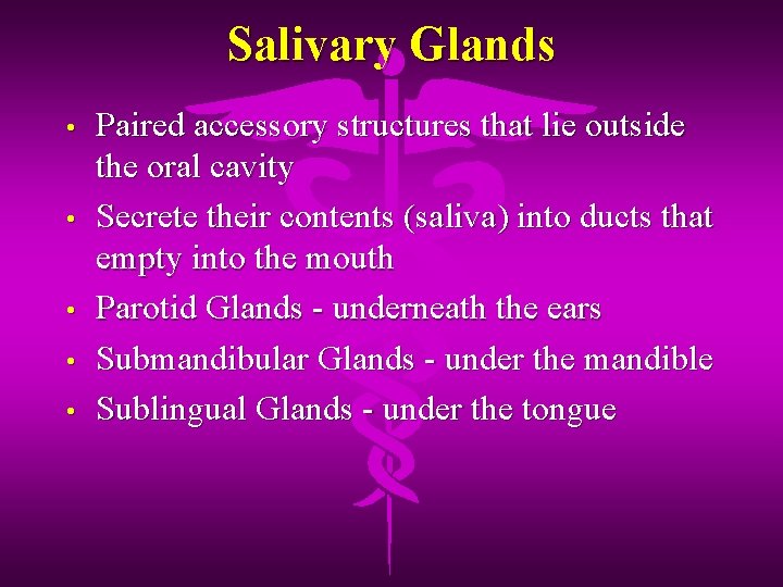 Salivary Glands • • • Paired accessory structures that lie outside the oral cavity