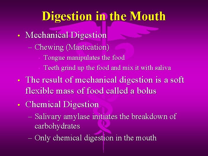 Digestion in the Mouth • Mechanical Digestion – Chewing (Mastication) • • Tongue manipulates