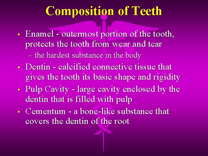 Composition of Teeth • Enamel - outermost portion of the tooth, protects the tooth