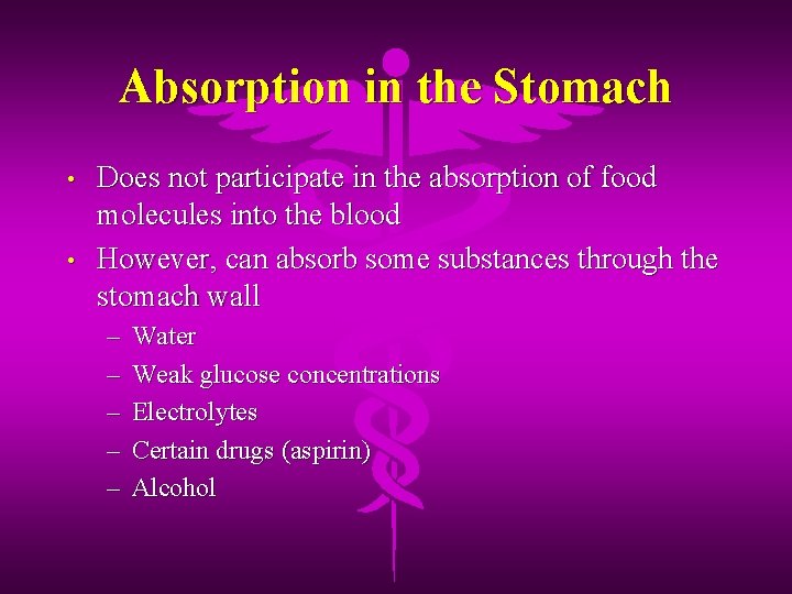 Absorption in the Stomach • • Does not participate in the absorption of food