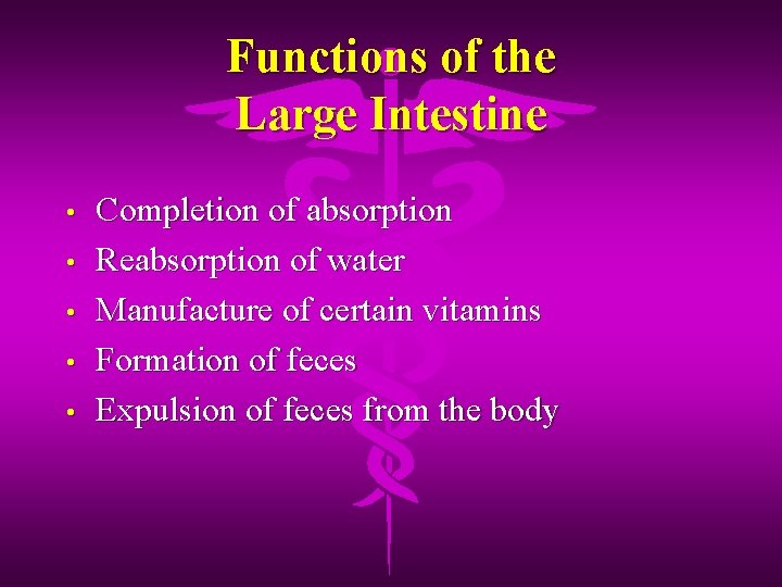 Functions of the Large Intestine • • • Completion of absorption Reabsorption of water