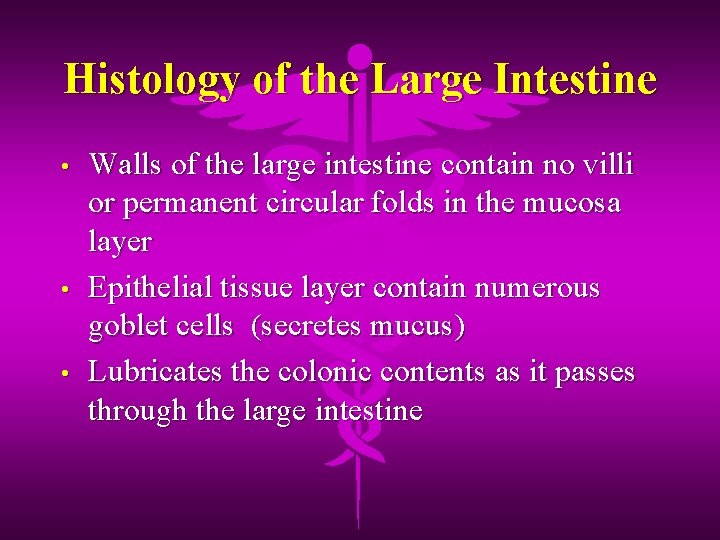 Histology of the Large Intestine • • • Walls of the large intestine contain