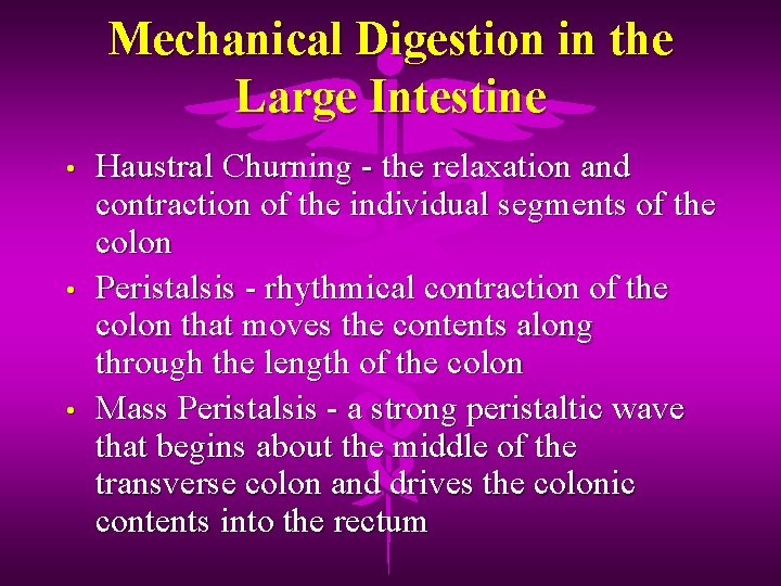 Mechanical Digestion in the Large Intestine • • • Haustral Churning - the relaxation