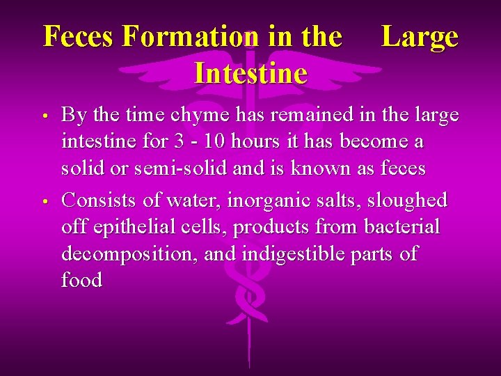Feces Formation in the Intestine • • Large By the time chyme has remained
