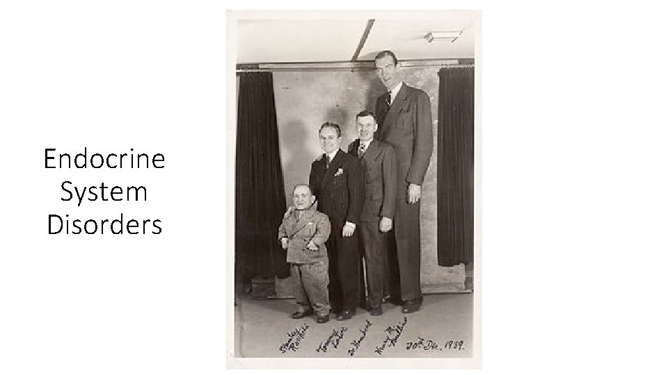 Endocrine System Disorders 