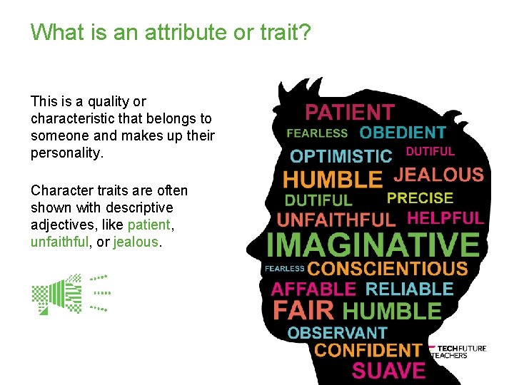 What is an attribute or trait? This is a quality or characteristic that belongs