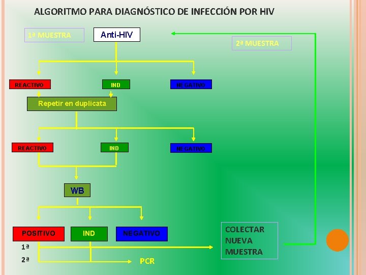 ALGORITMO PARA DIAGNÓSTICO DE INFECCIÓN POR HIV 1ª MUESTRA Anti-HIV REACTIVO 2ª MUESTRA IND