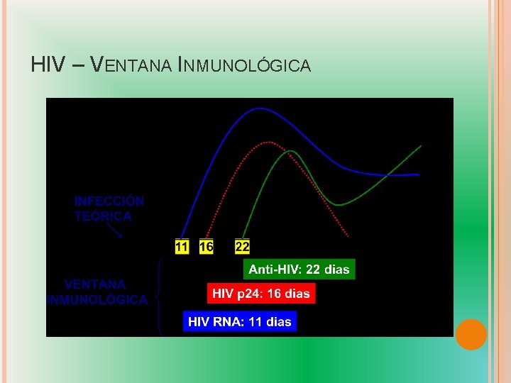 HIV – VENTANA INMUNOLÓGICA 