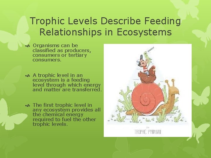 Trophic Levels Describe Feeding Relationships in Ecosystems Organisms can be classified as producers, consumers