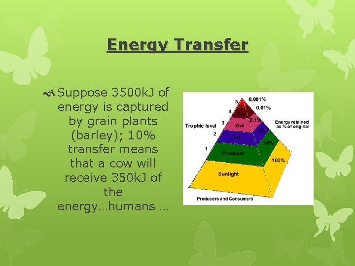 Energy Transfer Suppose 3500 k. J of energy is captured by grain plants (barley);