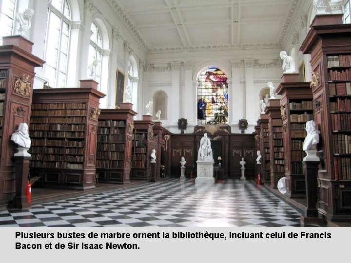 Plusieurs bustes de marbre ornent la bibliothèque, incluant celui de Francis Bacon et de